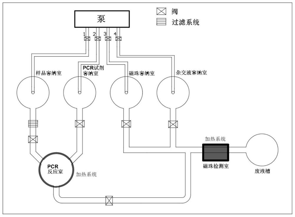 Method and device for detecting target gene or SNP (Single Nucleotide Polymorphism) site of target gene by combining asymmetric PCR (Polymerase Chain Reaction) and magnetic sensitive detector