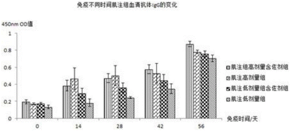 Preparation method for novel adjuvant piglet Escherichia coli inactivated vaccine