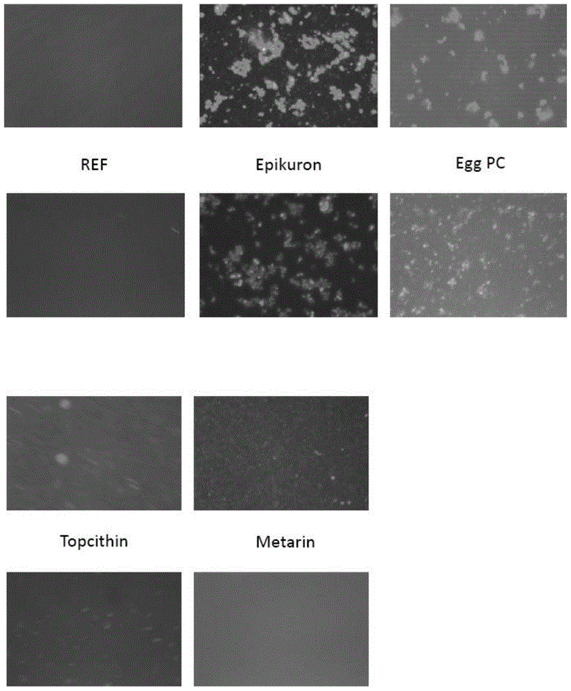 Encapsulated bitter peptides, methods of encapsulating bitter peptides, and nutritional compositions including encapsulated bitter peptides