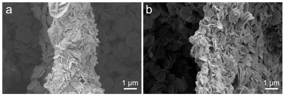 Preparation method of SnS2 nanosheet loaded graphene-based nanocomposite