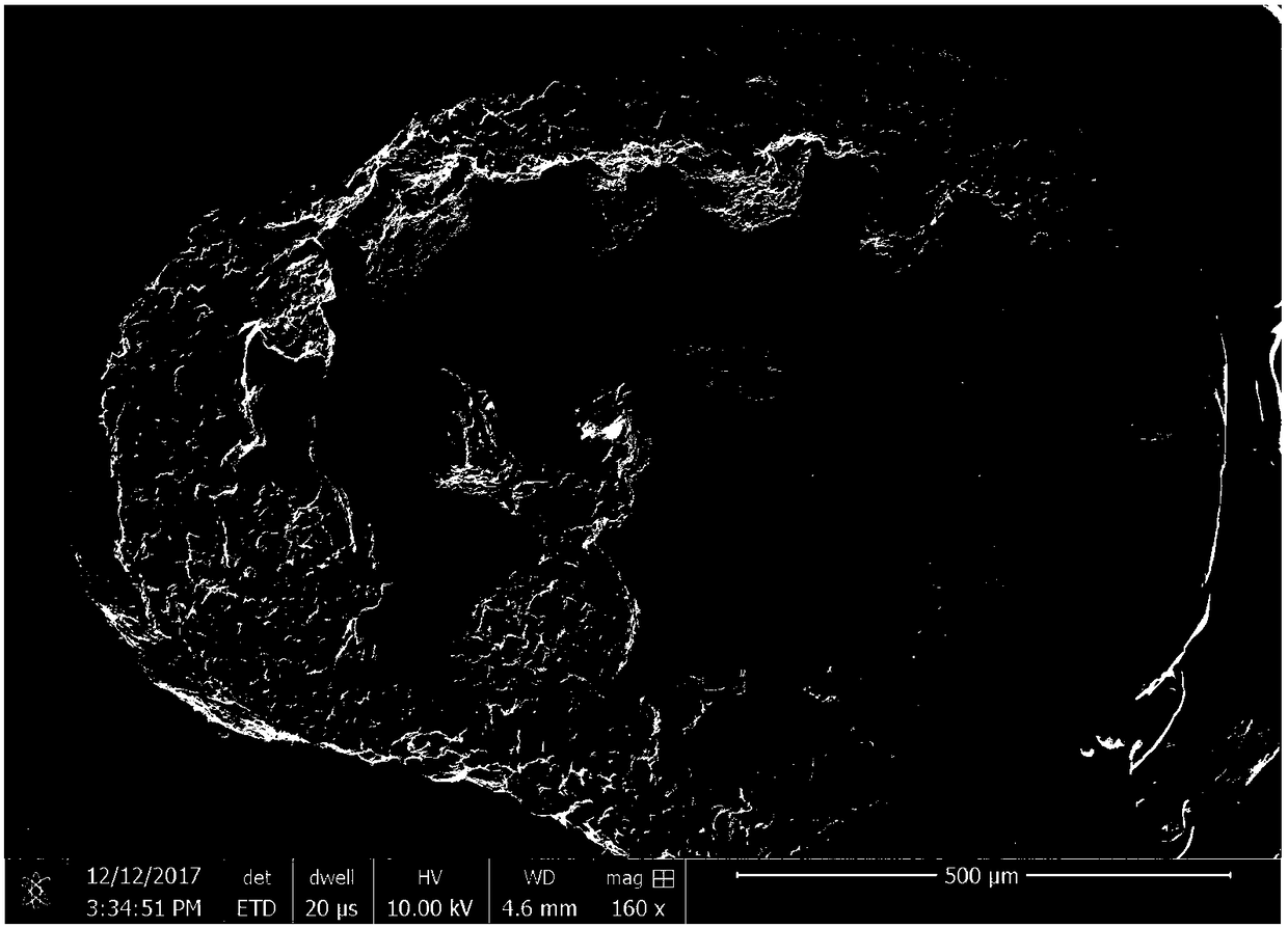 Preparation method of polyolefin nanometer composite material