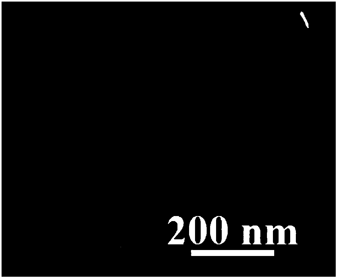 Preparation method of polyolefin nanometer composite material