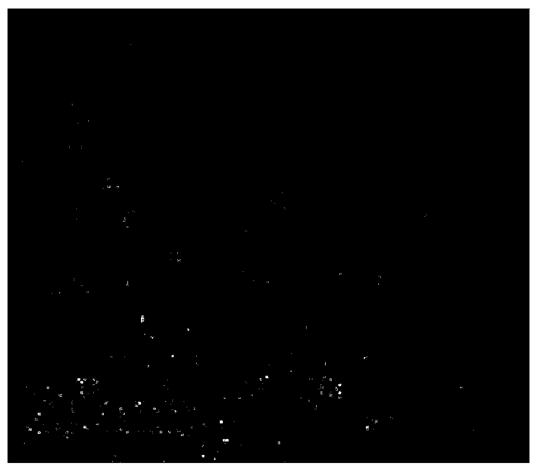 Preparation method of polyolefin nanometer composite material