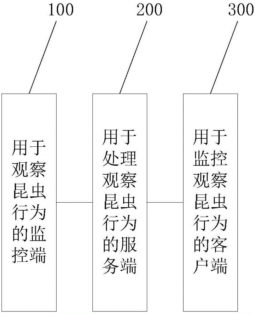 Real-time small insect behavior monitoring system and application thereof