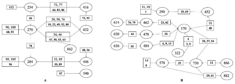 Method for performing fuzzy recognition on bioactive components with different effects of traditional Chinese medicine based on BP neural network correlation analysis of UPLC-Q-TOF/MSE and integration effect