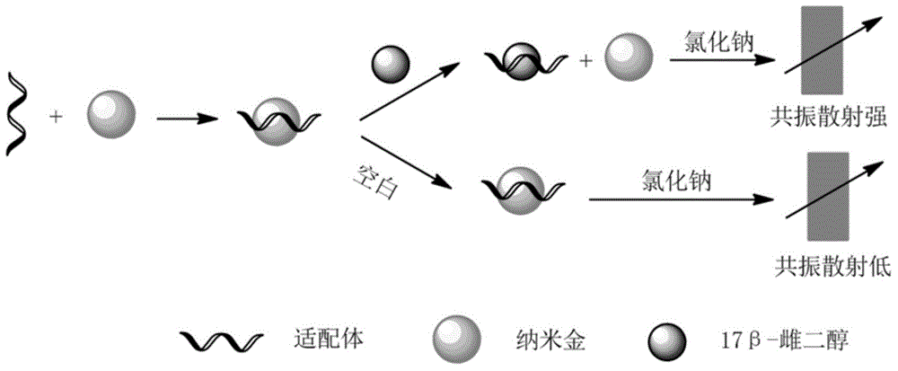 Method for detecting 17bata-estradiol by using resonance scattering spectrometry based on functional nucleic acids