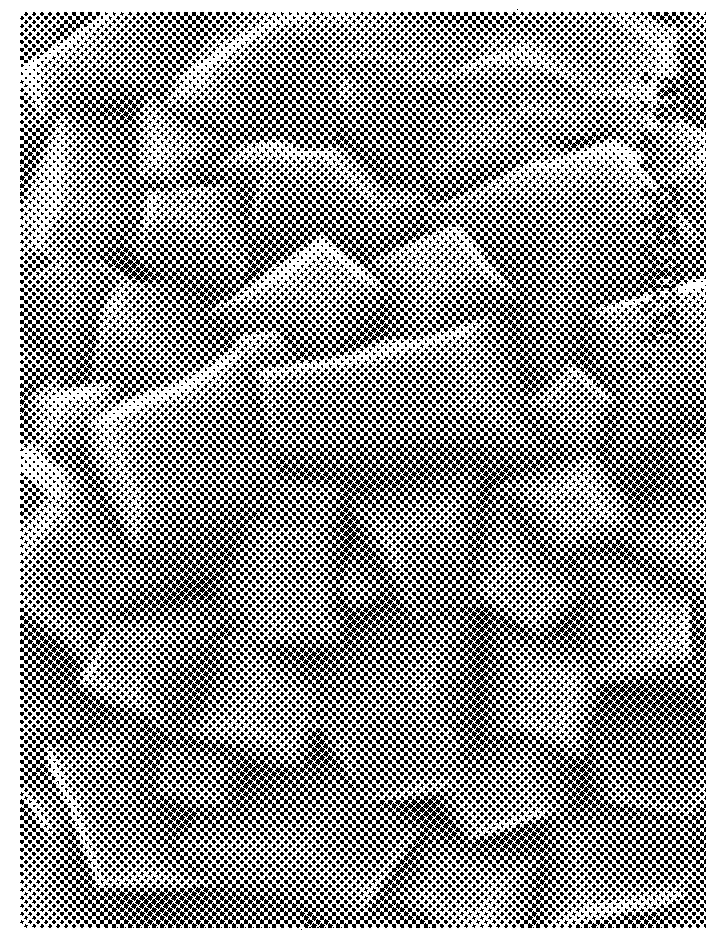 Positive electrode active material particle powder for non-aqueous electrolyte secondary battery, method for producing same, and non-aqueous electrolyte secondary battery