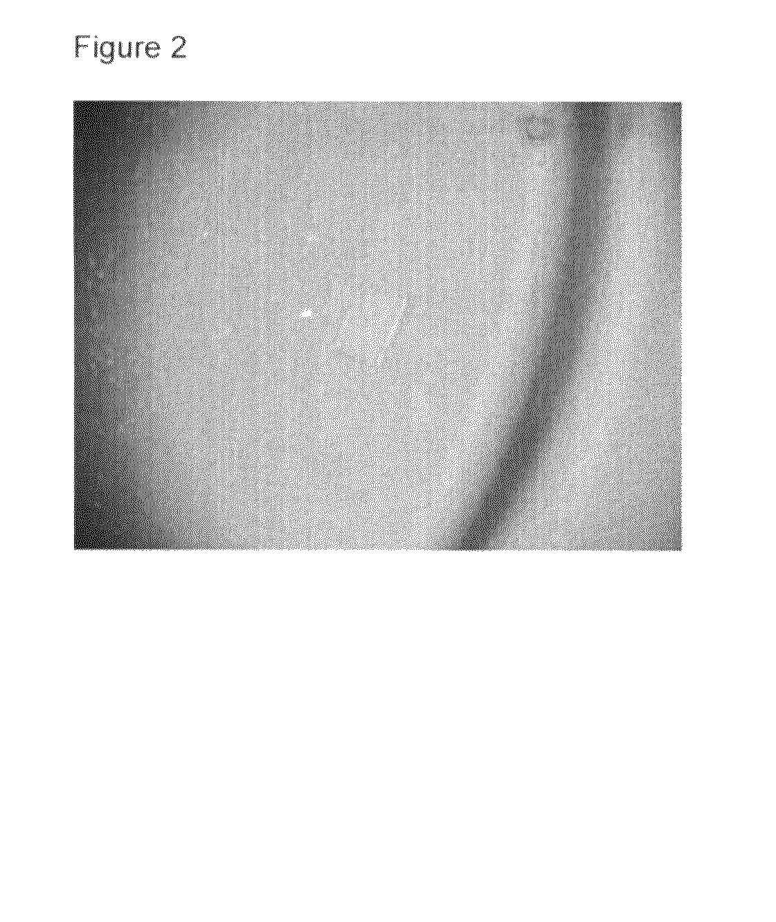 Crystal of human interferon alpha 2B in complex with zinc