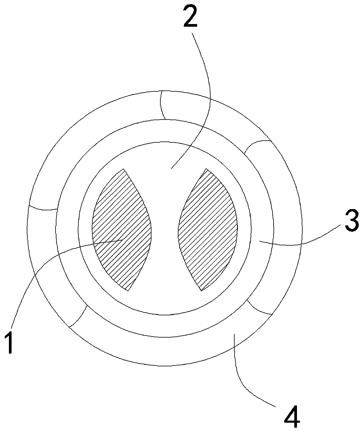 Abnormal enameled wire