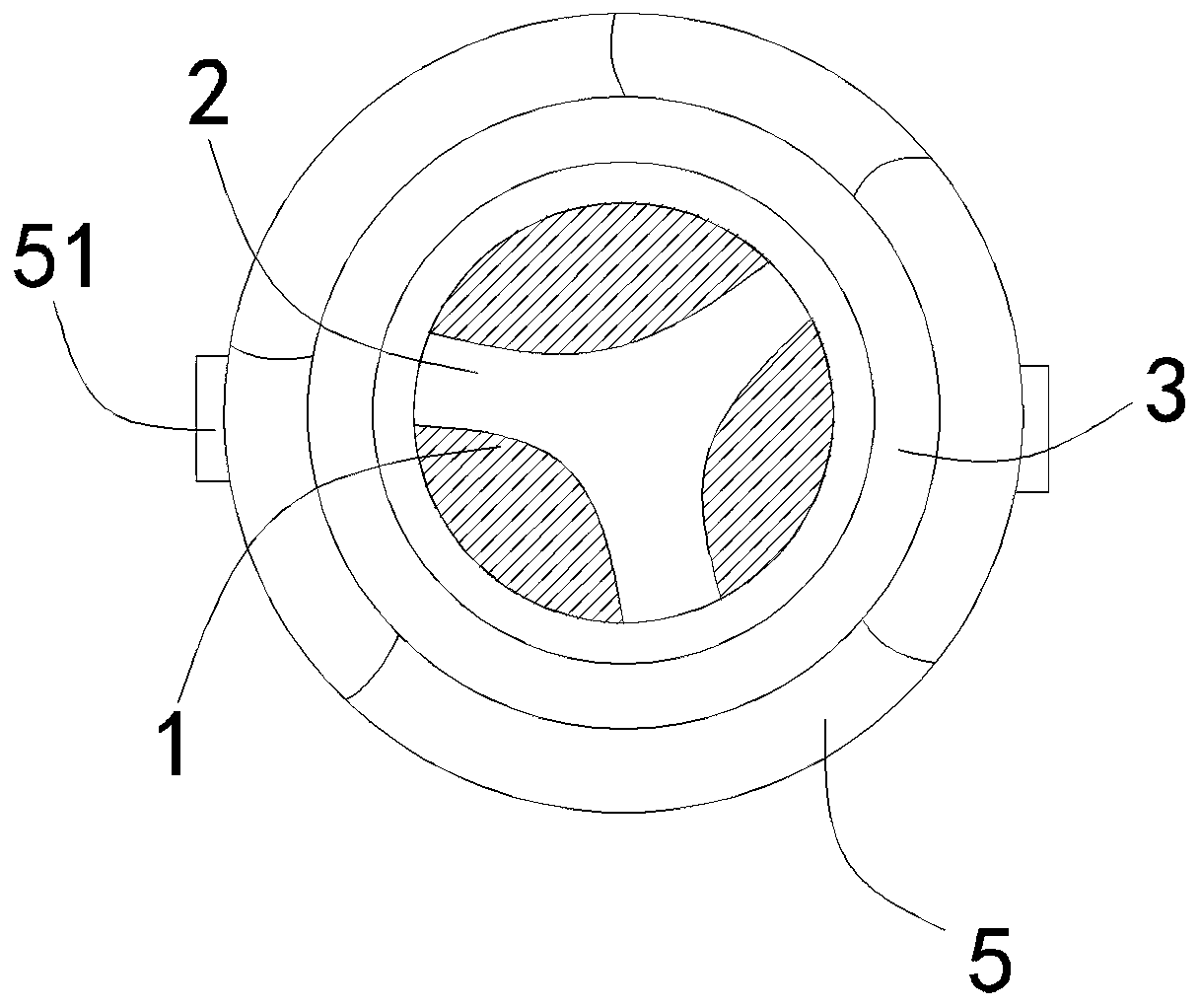 Abnormal enameled wire