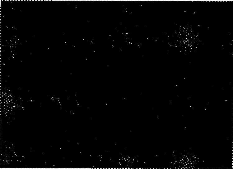 High-sequential inorganic substance pattern and preparation method thereof