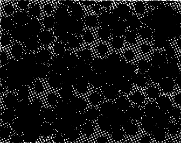 High-sequential inorganic substance pattern and preparation method thereof