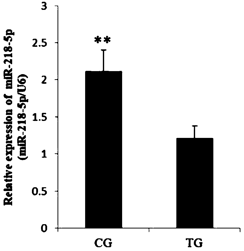 miRNA related to oxidative stress damage of duck intestinal mucosa and application thereof