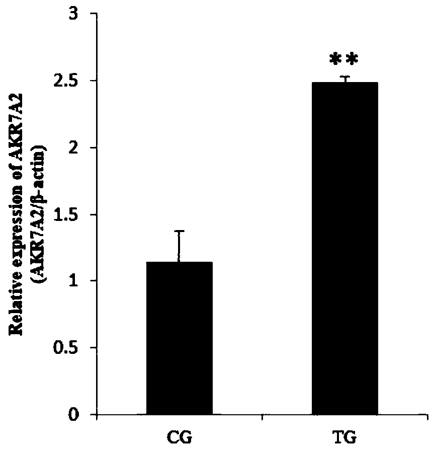 miRNA related to oxidative stress damage of duck intestinal mucosa and application thereof