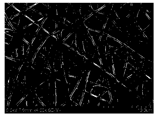 Glowing nanometer fibre with biocompatibility and preparation method of glowing nanometer fibre