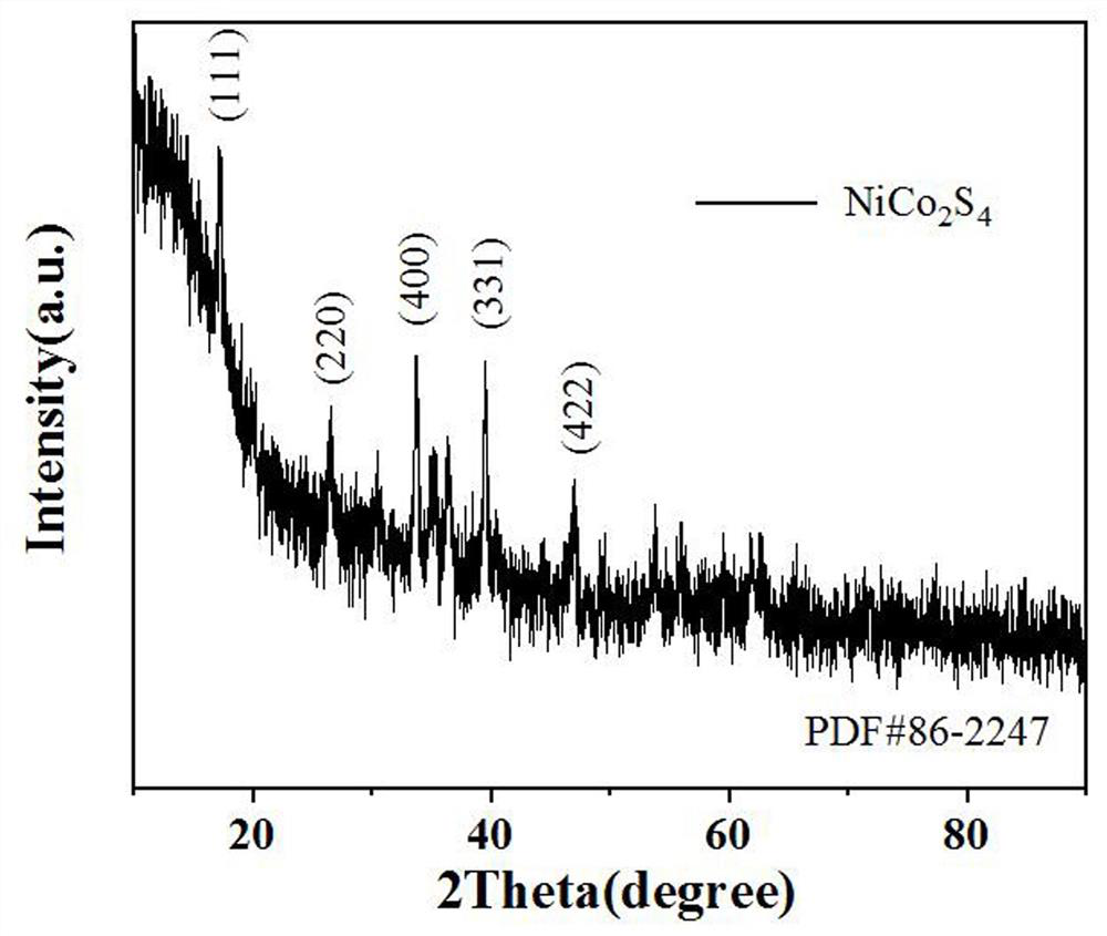 Polypyrrole coated Ni-Co-S nanoneedle array composite material and preparation method and application thereof