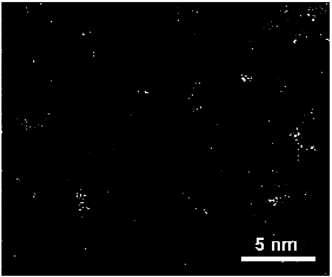 Pt/MoS2 nano catalyst and preparation method and application thereof