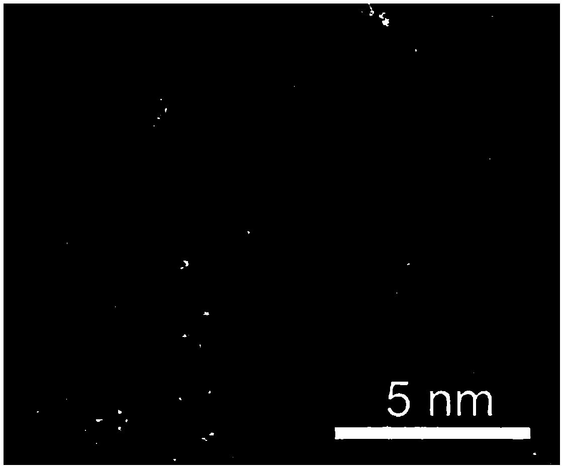 Pt/MoS2 nano catalyst and preparation method and application thereof