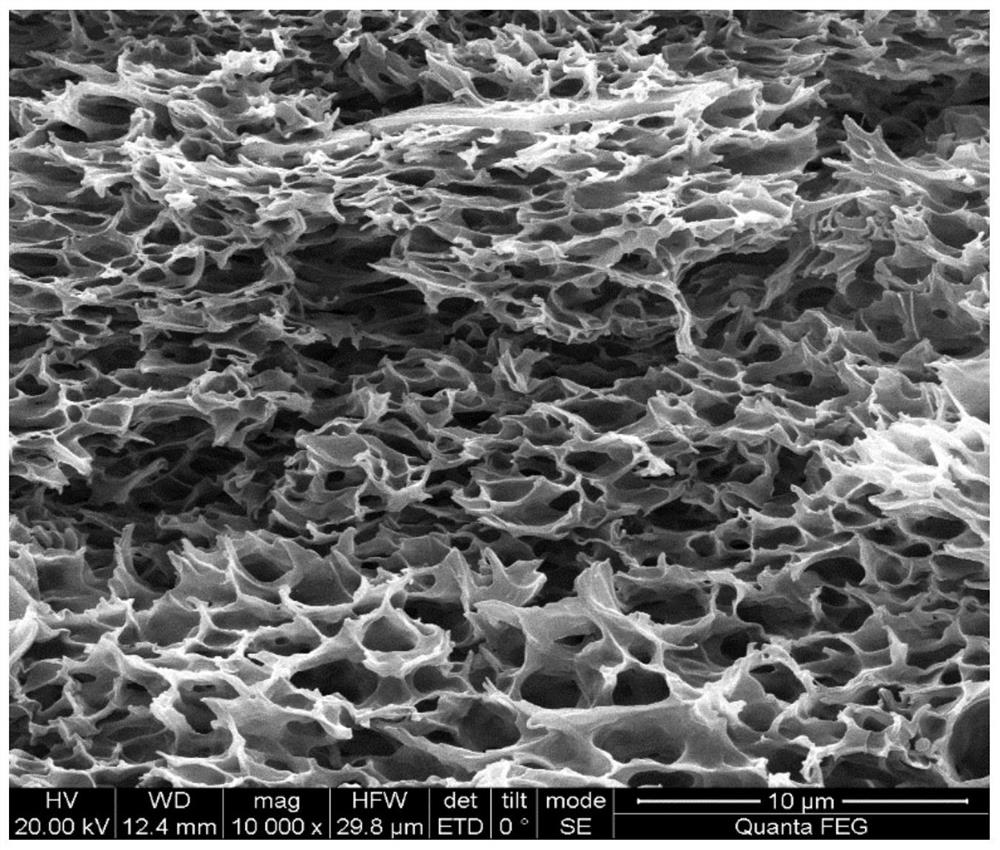 Novel charged nanofiltration membrane for removing organic matter and preparation method of novel charged nanofiltration membrane