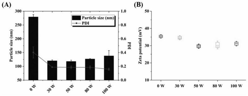 Preparation method and application of core-shell nanoparticles loaded with EBV-LMP2 mRNA