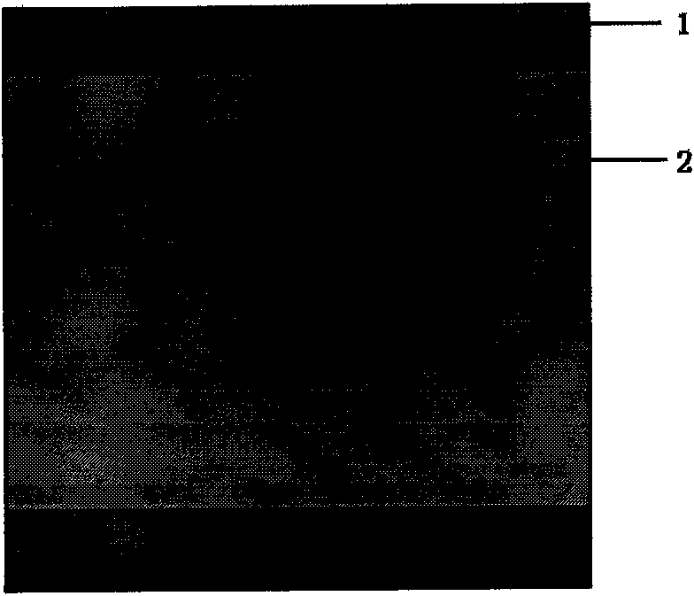 Stripline-style ferrite phase shifter based on LTCC technology