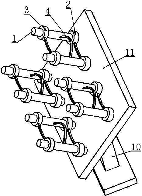 Fruit and vegetable product displaying platform