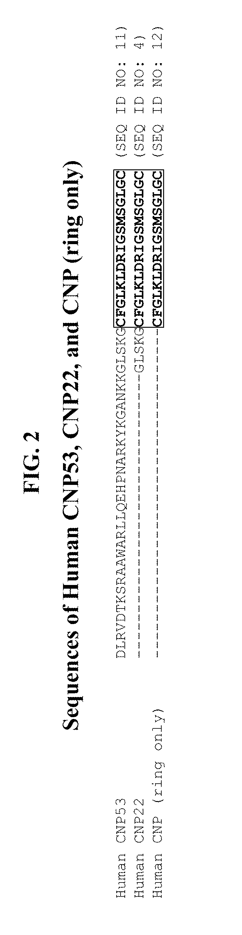 Compositions comprising natriuretic peptides and methods of use thereof