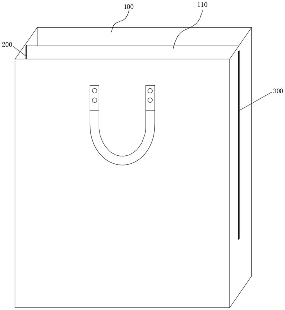 Packing bag with variable partition cavities