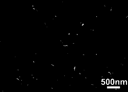 Tyrosine-sensing electrochemical working electrode