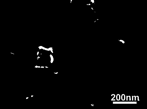 Tyrosine-sensing electrochemical working electrode