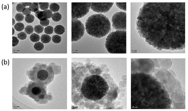 Magnetic MOF@aptamer and method for detecting food-borne pathogenic bacteria by using same