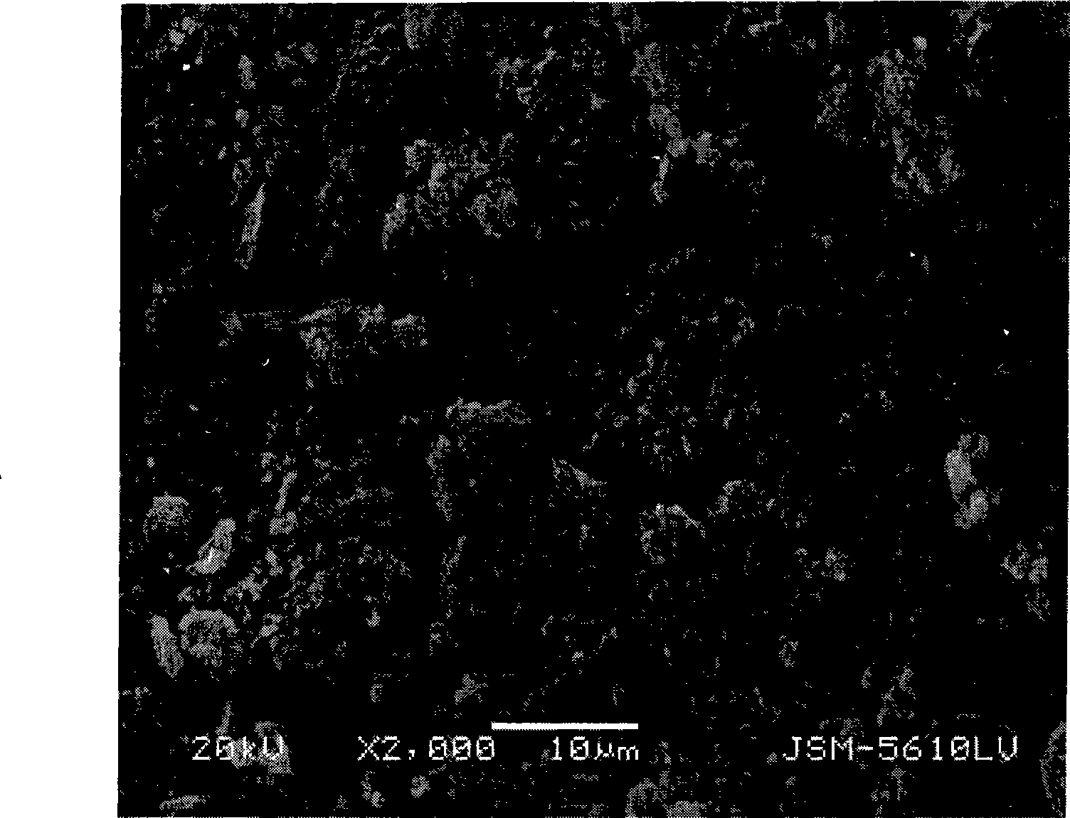 Negative electrode of lithium ionic secondary battery and battery thereof