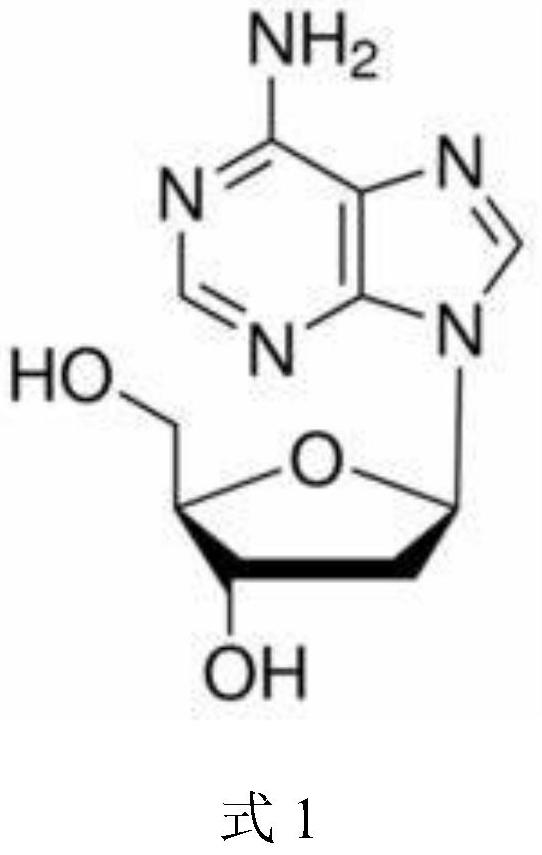 Bacillus coagulans and method for catalytically producing 2'-deoxyadenosine by bacillus coagulans