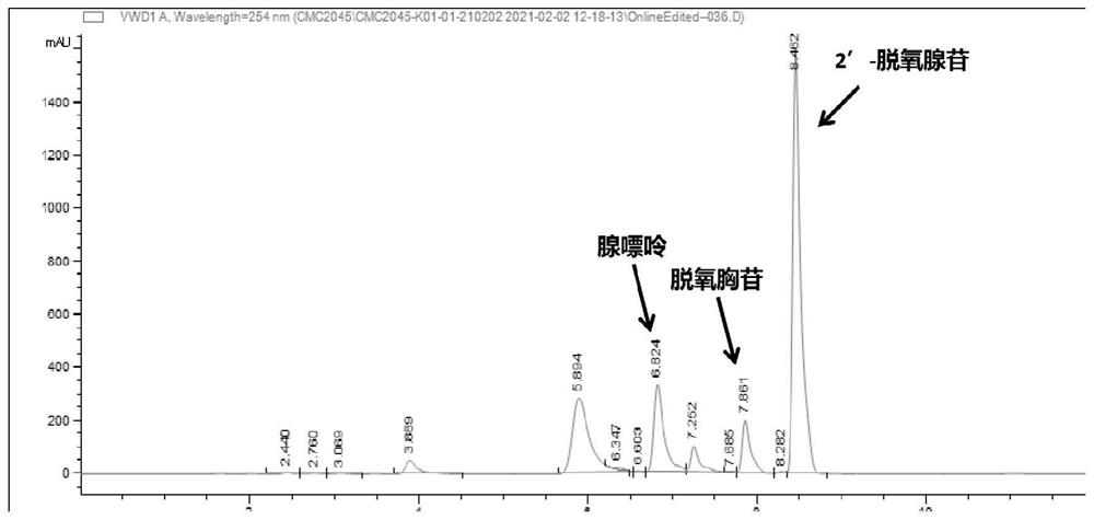 Bacillus coagulans and method for catalytically producing 2'-deoxyadenosine by bacillus coagulans