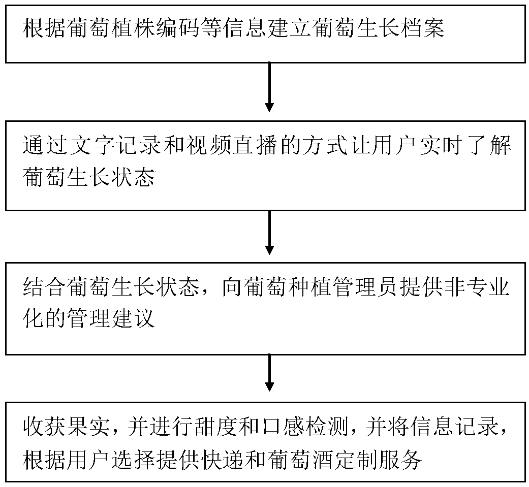 Grape claim cultivation method