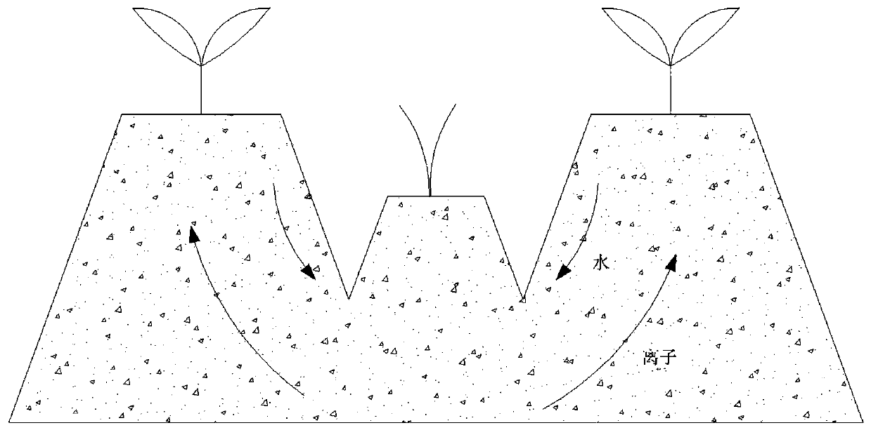 Method for improving planting of plants in saline and alkaline land