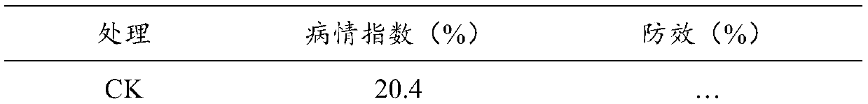 Composite microbial agent for preventing and treating soil-borne diseases and preparation method and application thereof