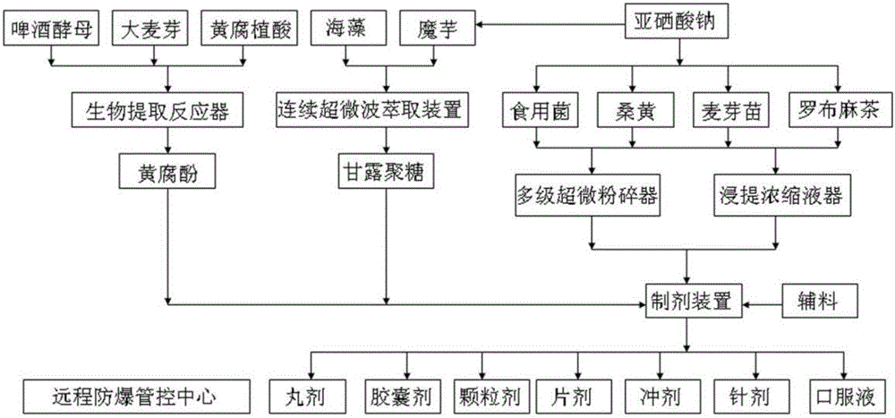 Cancer-preventing and -resisting and aging-resisting medicine/health-care product and preparation method and preparation device thereof