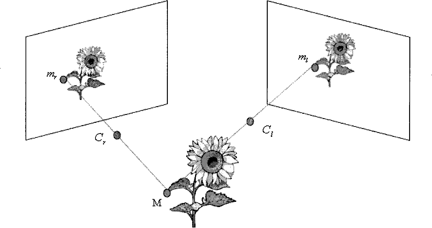 Method and system for acquiring three-dimensional target shape