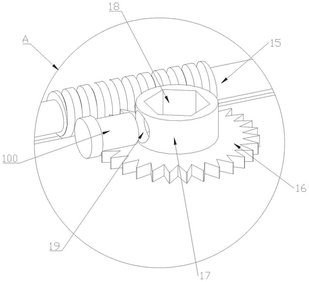 Rock and mineral and paleontological specimen display device special for geological laboratory