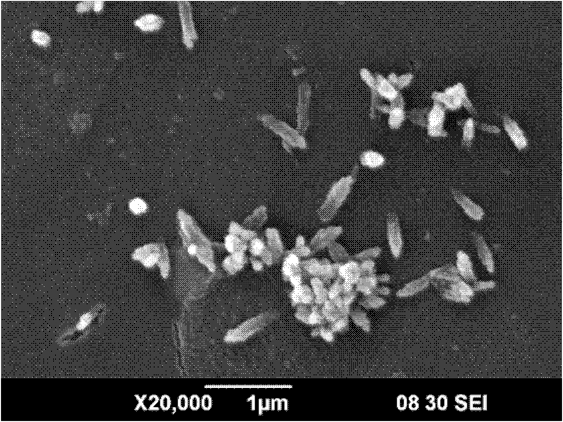 Preparation method of bar-shaped NiTiO3 nano-crystalline