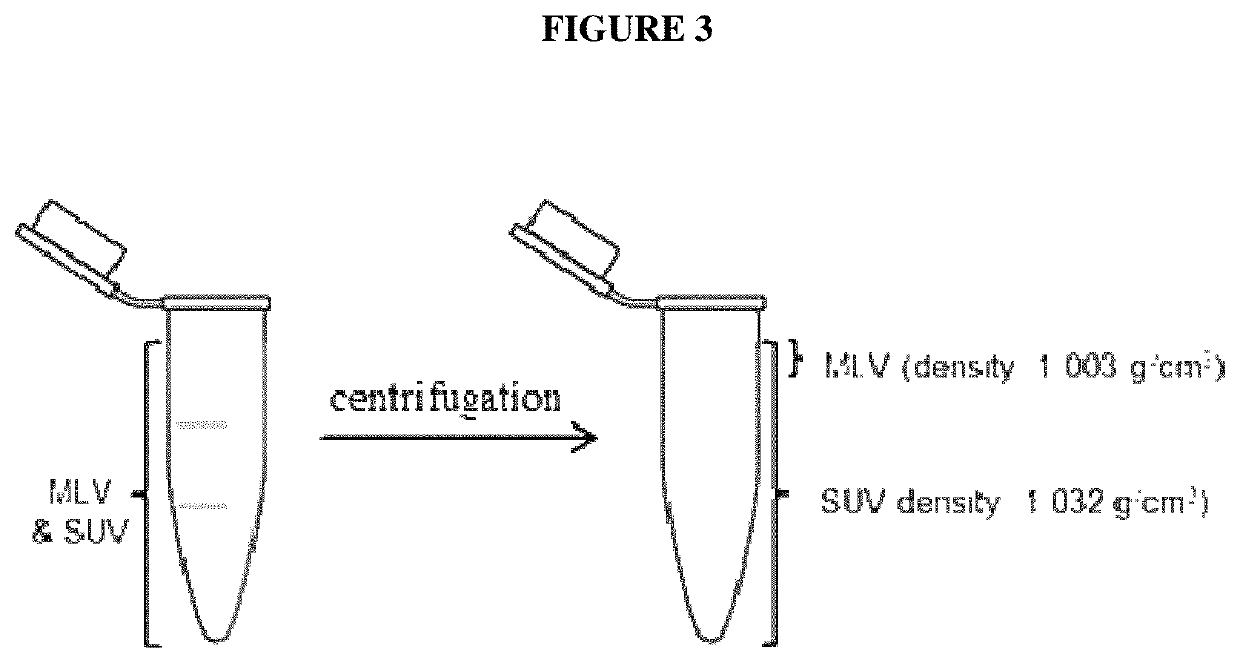 Liposomal formulation for use in the treatment of cancer