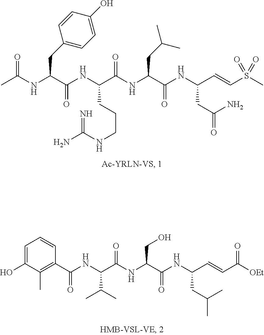 Inhibitors of the Trypsin-Like Site of the Proteasome and Methods of Use Thereof