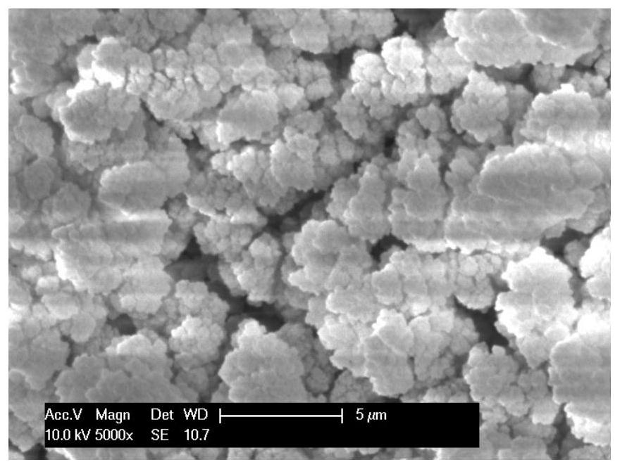 Electrochemical sensor electrode for rapidly and simultaneously detecting lead and cadmium ions as well as preparation method and application of electrochemical sensor electrode