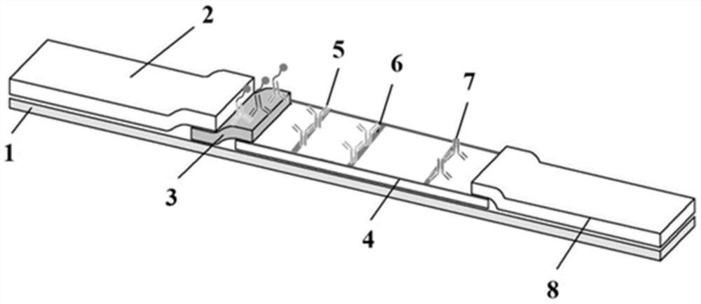 Kit for quantitatively detecting NT-proBNP/ST2 by time-resolved fluorescence immunochromatography and application thereof