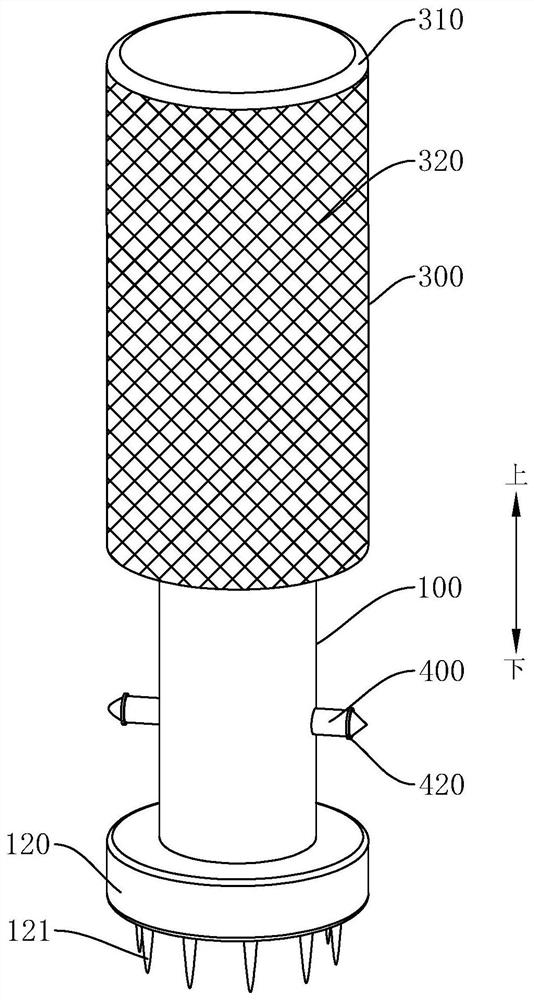 Shell rotary-type clamping needle fixing dental implant structure and use method