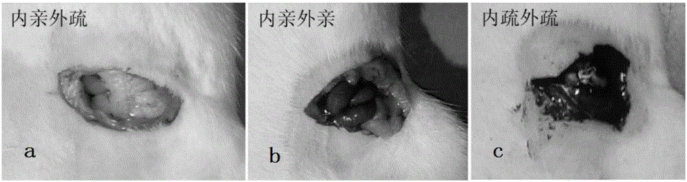 Hemostatic fabric and preparation method and application thereof