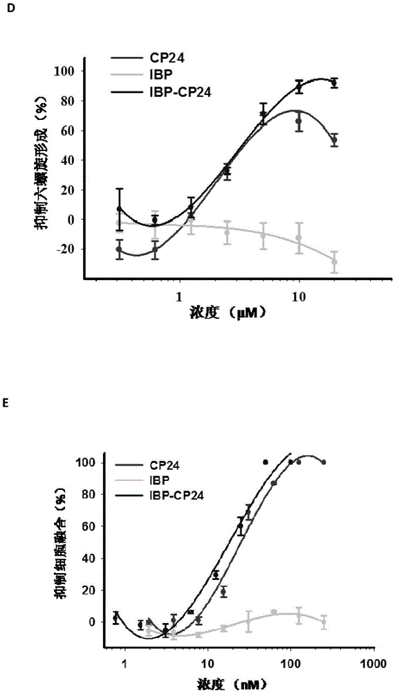 Long-acting HIV fusion inhibitor and application thereof