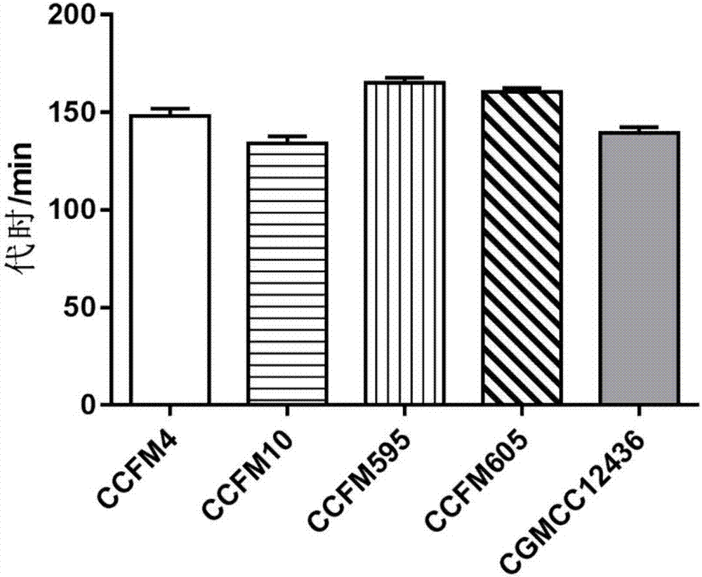 Lactobacillus plantarum capable of adjusting ampicillin induced intestinal flora disturbance