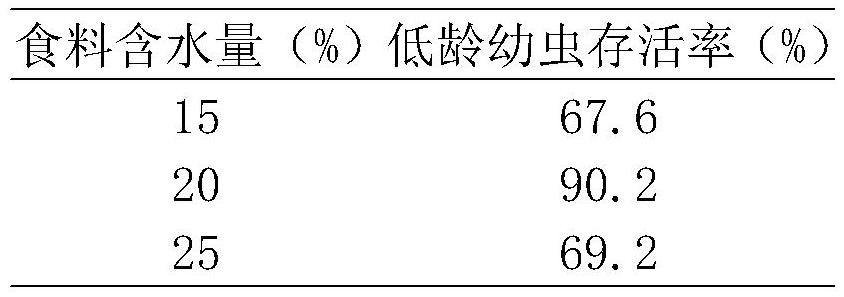 Sectional production method of Litsea coreana insect tea